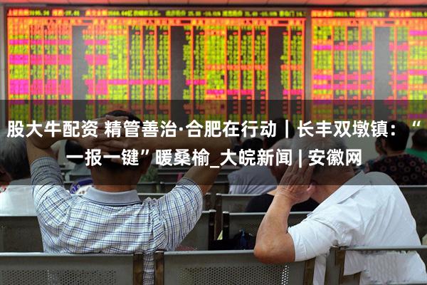 股大牛配资 精管善治·合肥在行动｜长丰双墩镇：“一报一键”暖桑榆_大皖新闻 | 安徽网