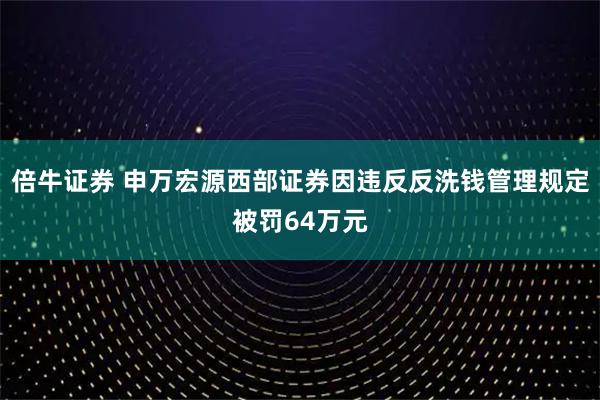 倍牛证券 申万宏源西部证券因违反反洗钱管理规定被罚64万元